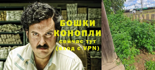молекула духа Арсеньев