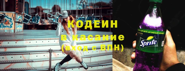 молекула духа Арсеньев
