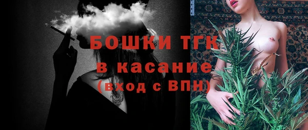 молекула духа Арсеньев