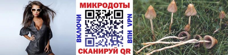Псилоцибиновые грибы MAGIC MUSHROOMS  сколько стоит  Спасск-Дальний 